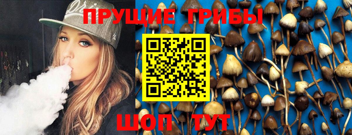 Галлюциногенные грибы Magic Shrooms Сальск