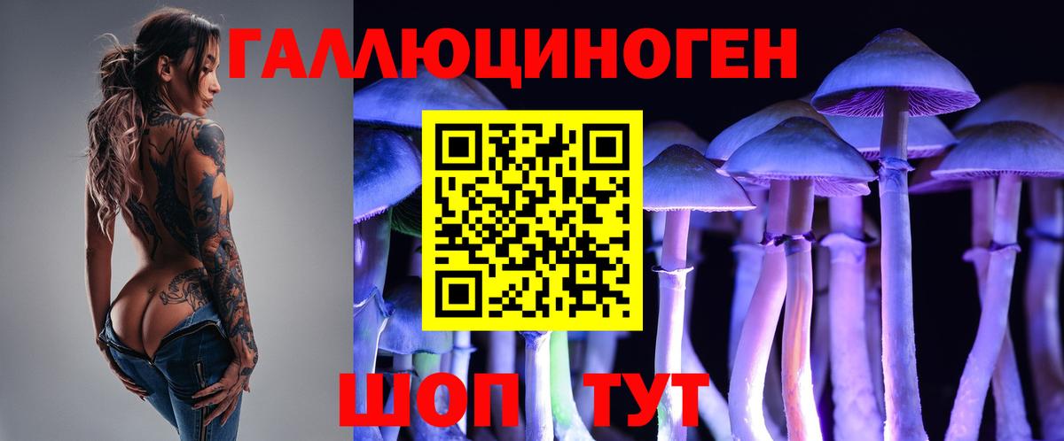 Сальск  Галлюциногенные грибы ЛСД  Вход с VPN 